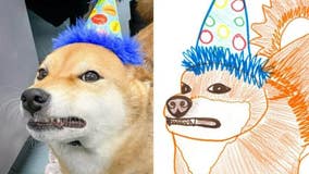 Tacoma animal shelter hosts 'Poorly Drawn Pets' fundraiser