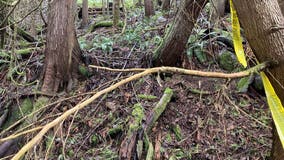 Human remains found in wooded area in Pierce County