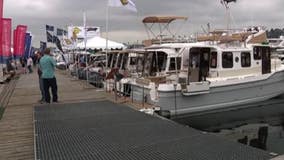 Things To Do: Boba Fest, free health clinic, Boats Afloat and Baby Animals & Blooms Days