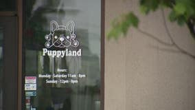 AG Ferguson files lawsuit against Puppyland; alleging false health guarantees, predatory loans
