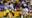 LSU G Anthony Bradford, Mississippi State NT Cameron Young heads Seahawks Day 3 draft picks