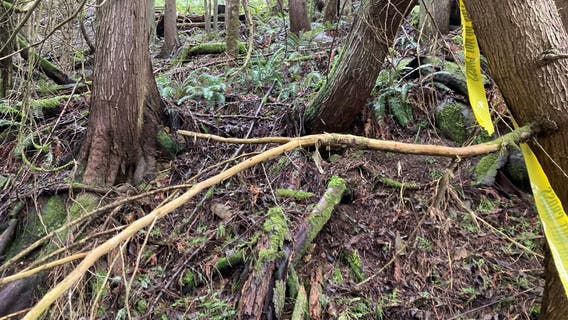 Human remains found in wooded area in Pierce County