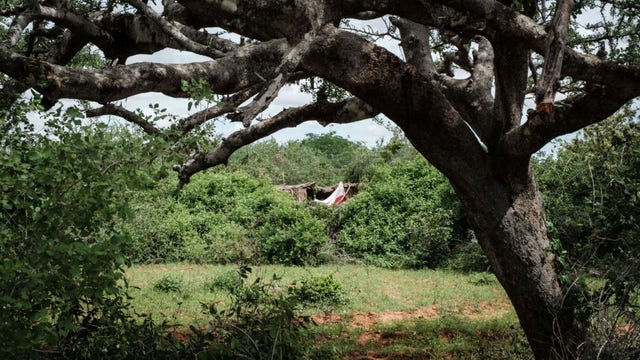 Kenya cult deaths: 39 bodies found amid investigation into pastor