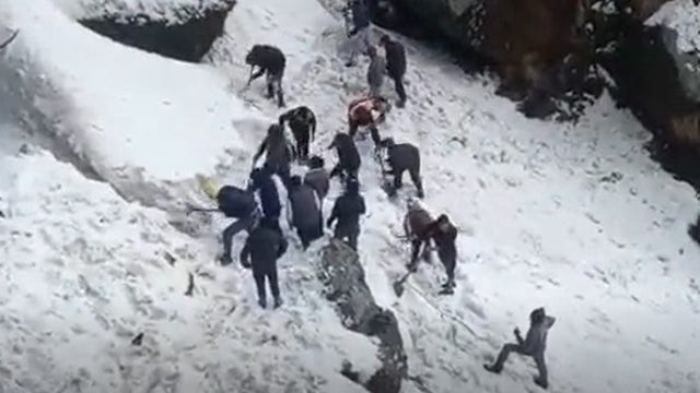 Avalanche in Himalayas kills 7 tourists in northeast India