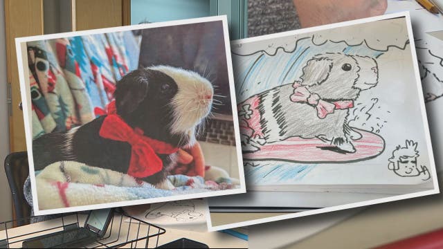 'Poorly Drawn Pets' raises $30k for The Humane Society for Tacoma & Pierce County