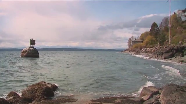 SPD needs your help to solve 2017 mystery of human remains found near Seattle park