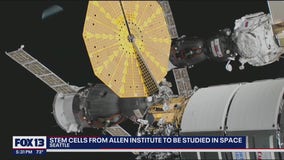 Stem cells from Seattle's Allen Institute to be studied on private mission to space