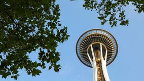 Seattle passes tree protection ordinance in effort to create more natural shade