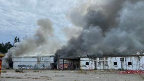 Massive fire breaks out at Lacey mushroom farm