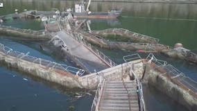 Work to remove final fish farming net pens underway in Washington waters