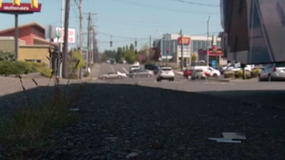 Why tree coverage matters as temperatures rise in Puget Sound