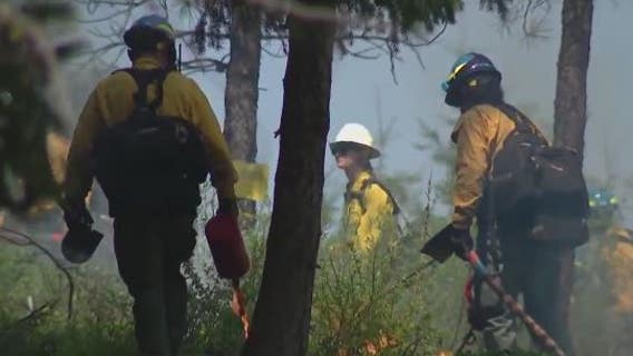 Prescribed burns could heal Washington forests after decades of fire suppression