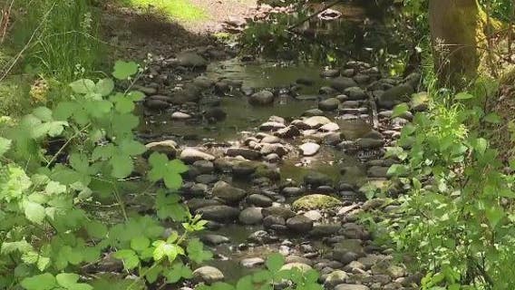 WSDOT summer construction projects and fish passage work begins