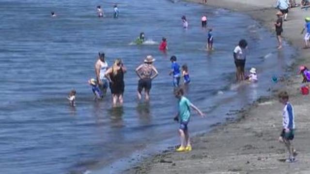 3 Seattle beaches closed this summer due to lifeguard shortages