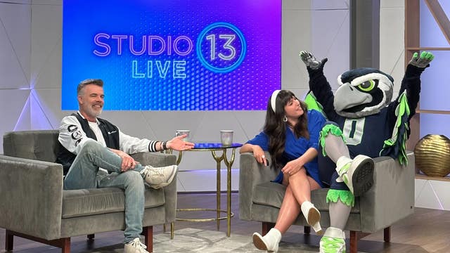 Blitz the Seahawk is on the ballot for the Mascot Hall of Fame, here's how you can vote