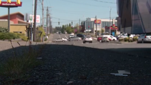 Why tree coverage matters as temperatures rise in Puget Sound