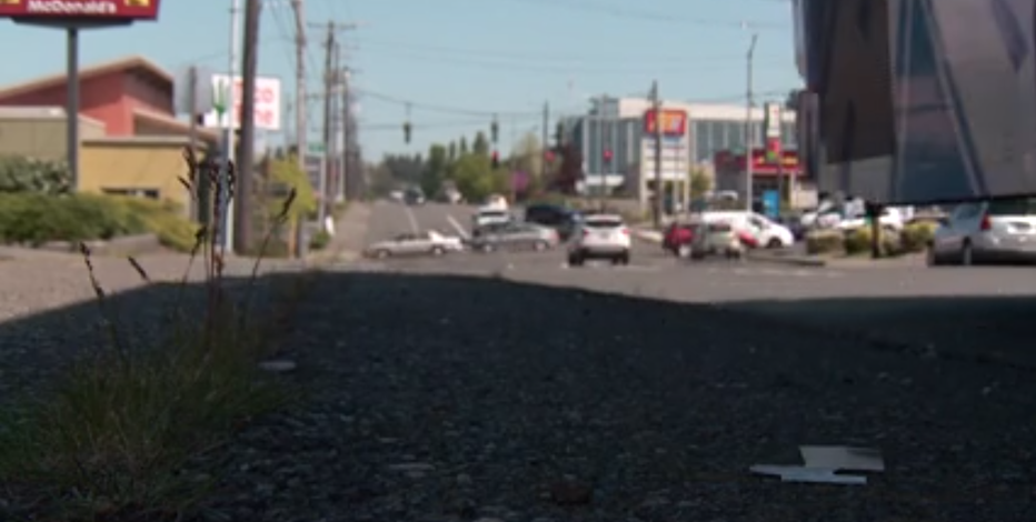 Why tree coverage matters as temperatures rise in Puget Sound