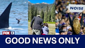 Good News Only: 10-year-old girl survives 24 hours in the Cascades, deer spotted swimming with orca