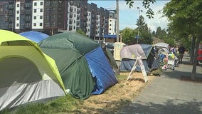 Burien lawmakers resign en masse after City Council removes planning commission chair