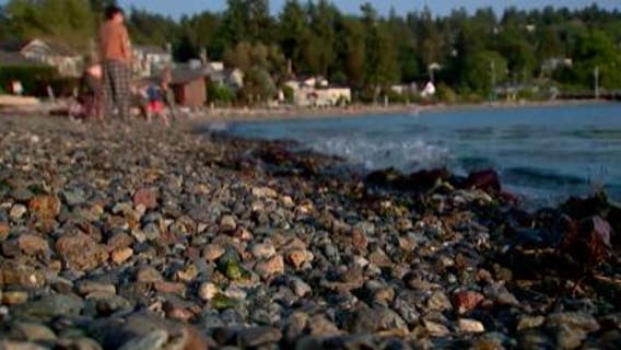 High fecal bacteria levels close down Lincoln Park Beach