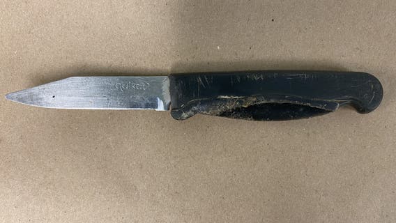 1 arrested, 1 injured in stabbing in Seattle's Magnolia neighborhood