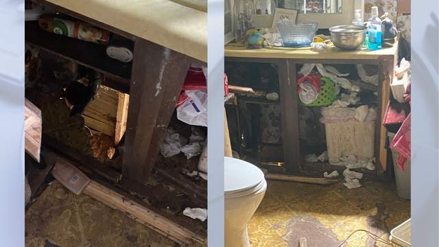 Deputies: Child rape suspect hid in hole under family member's home to avoid capture