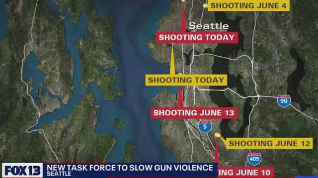 Seattle Police Chief announces new taskforce to combat gun violence