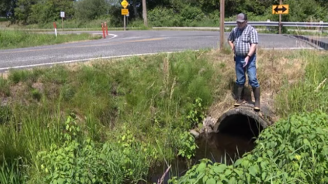 Farmers raise alarm over polluted water flowing in from Canada