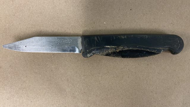 1 arrested, 1 injured in stabbing in Seattle's Magnolia neighborhood