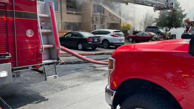 At least 2 hurt in fire at Skyway apartment building