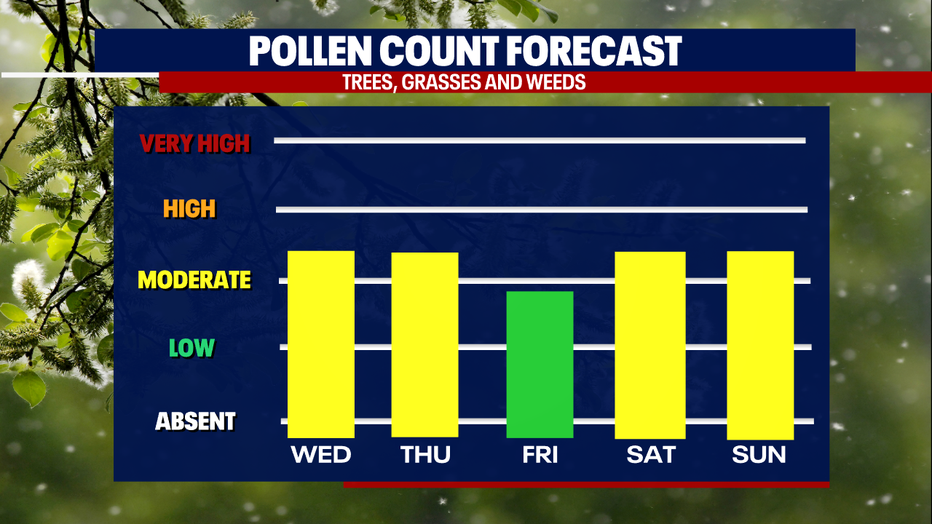 Seattle weather: Unseasonably warm, dry conditions elevate fire danger ...