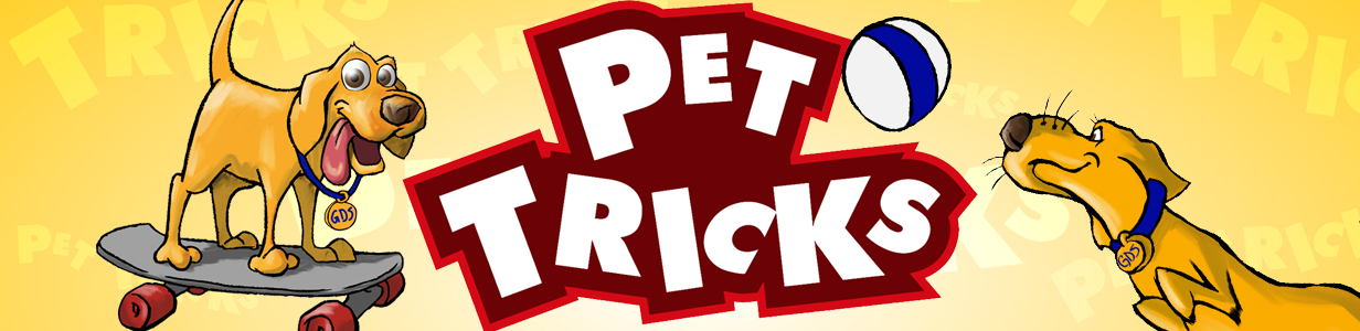 Pet Tricks