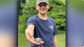 See the rare blue frog spotted in Rhode Island