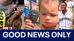 Good News Only: World's cutest rescue dog contest, Baseball Beyond Borders, MLB All-Star Week in Seattle