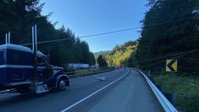 Lanes of I-5 blocked for hours near Bellingham after power lines fall across road