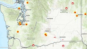 Interactive Wildfires Map