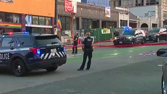 'I wanted to end his suffering': Capitol Hill suspect brutally stabs victim in front witnesses, docs