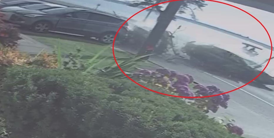 Surveillance video shows crash that sent car flying into Puget Sound waters, critically injuring woman