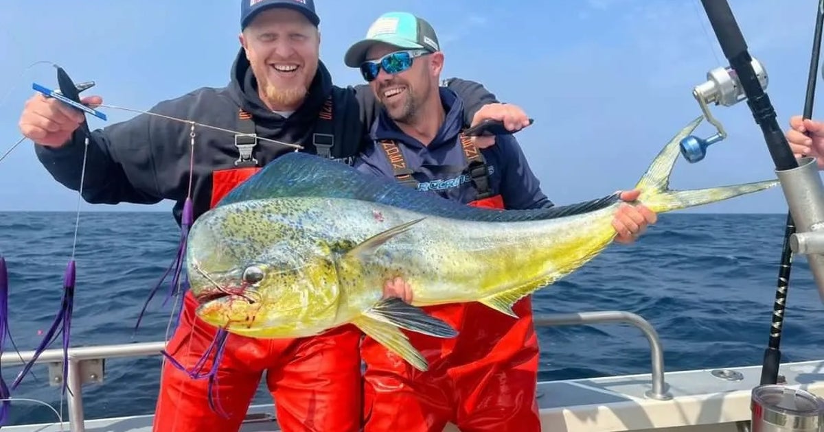 mahi-mahi.jpg?ve=1&tl=1