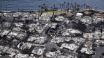 Dozens killed in Maui fires, more than 1,000 structures have burned