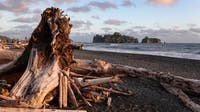 Free entry at WA national parks for Fourth of July weekend