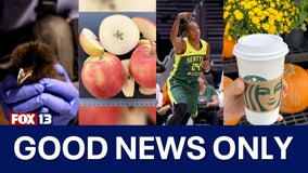 Good News Only: WSU unveils new apple, Seattle Aquarium welcomes baby puffling, Starbucks' PSL turns 20