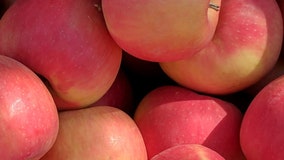 Washington State University unveils new apple variety: WA 64