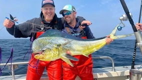 Fisherman shatters Washington state record, catching colossal mahi mahi near Westport