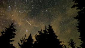 Perseid meteor shower: Best places and times to watch for this weekend's show
