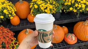 Starbucks' Pumpkin Spice Latte turns 20, beloved by millions and despised by some