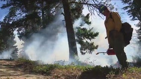 Fighting fire with fire: Prescribed burns to offset wildfire dangers down the line