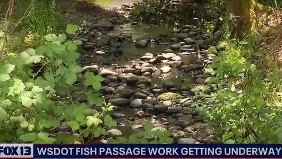 Federal grants will replace tunnels beneath roads that let water pass but not fish