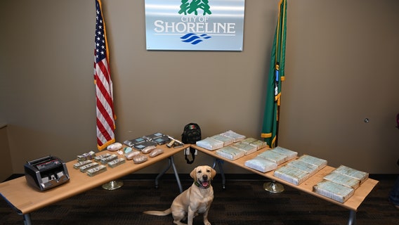 Nearly 300,000 fentanyl pills seized in King County drug bust, enough for 2 million deadly doses