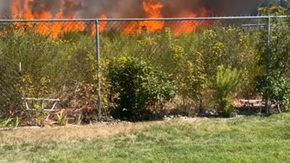 Video shows wall of flames heading towards Lakewood neighborhood as residents fled, fought to save homes
